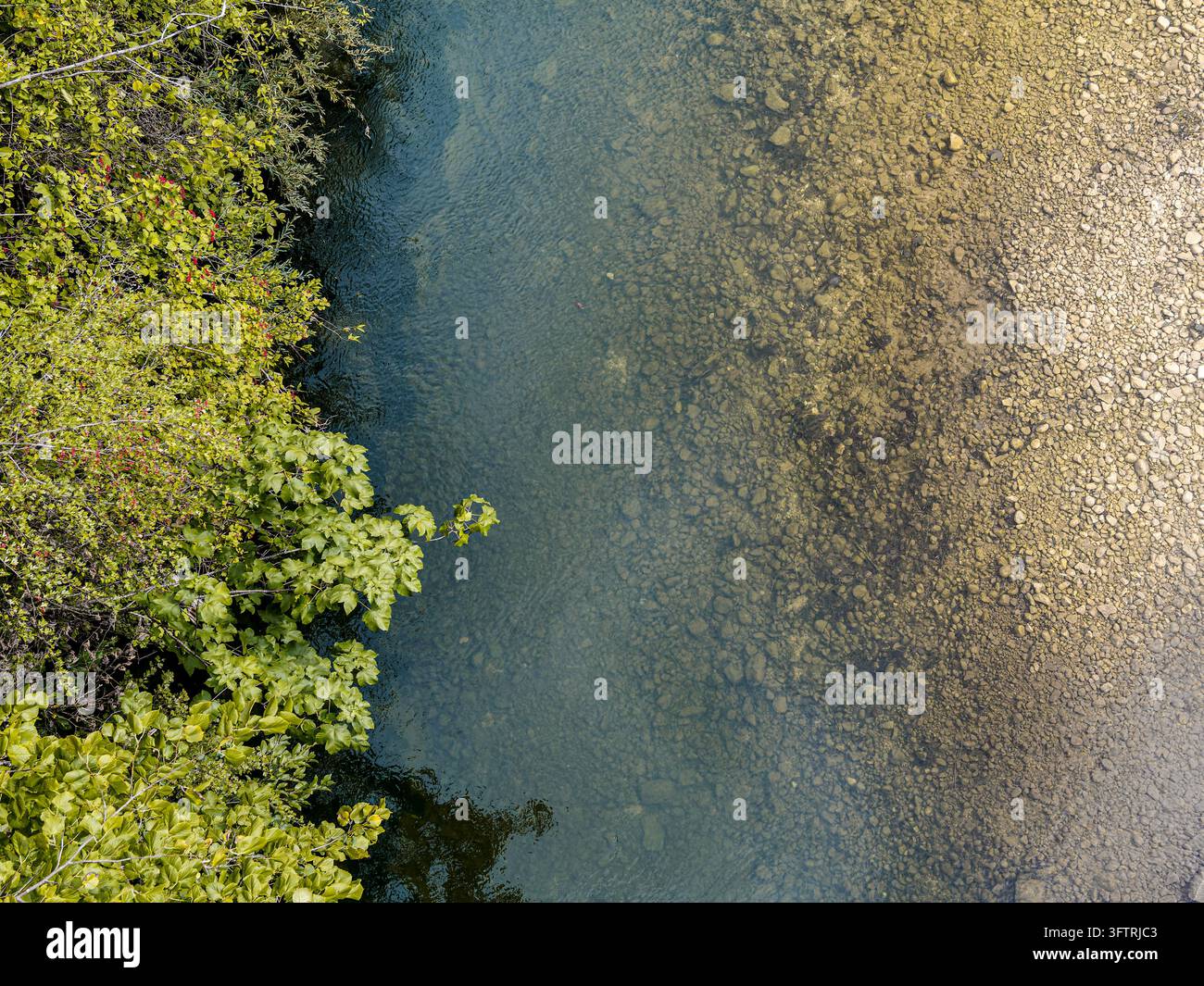 Un fiume chiaro e poco profondo con un letto roccioso scorre accanto a una fitta vegetazione verde alle Planches-en-Montagne. Foto Stock