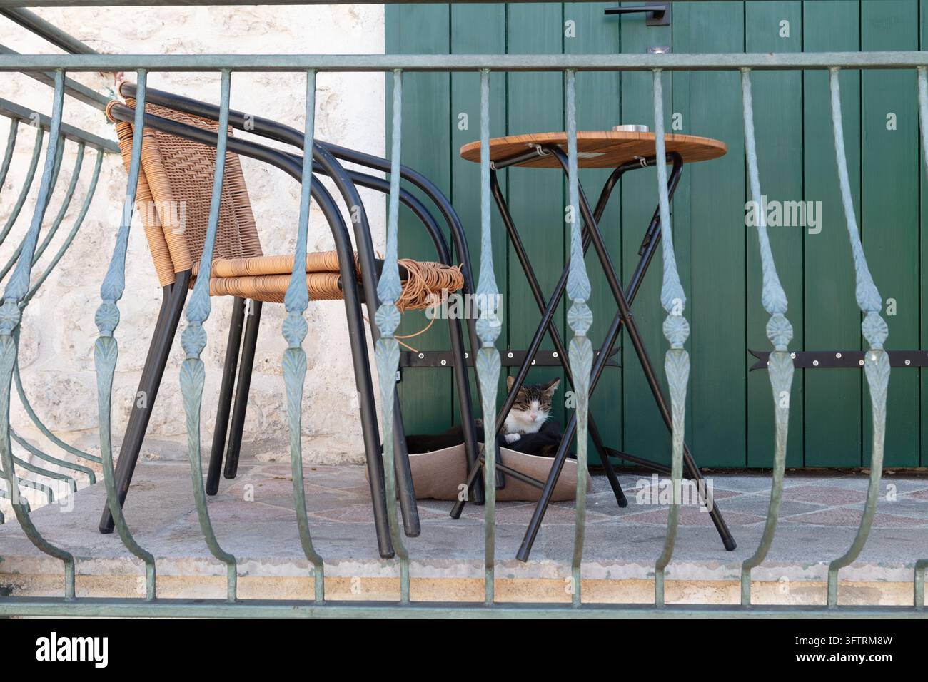 Gatto tabby che riposa comodamente in una piccola cuccia sotto un tavolo e una sedia da bistrot su un balcone in pietra nella storica Città Vecchia di Kotor, Montenegro Foto Stock