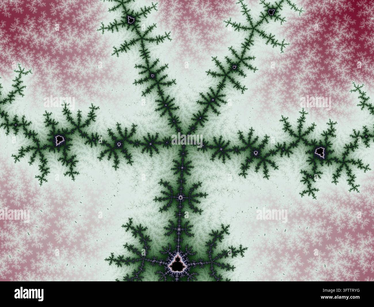 Visualizzazione della natura intricata e simile a se stessa dei frattali matematici Foto Stock