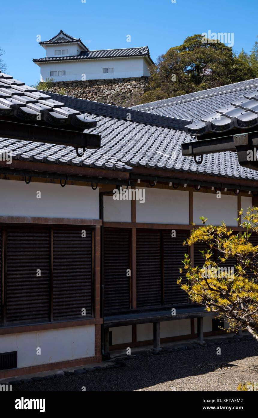 Antica residenza ricostruita di un daimyo al Museo del Castello di Hikone (彦根城博物館) con più cortili e vedute sui giardini, città di Hikone, Shiga, Giappone. Foto Stock