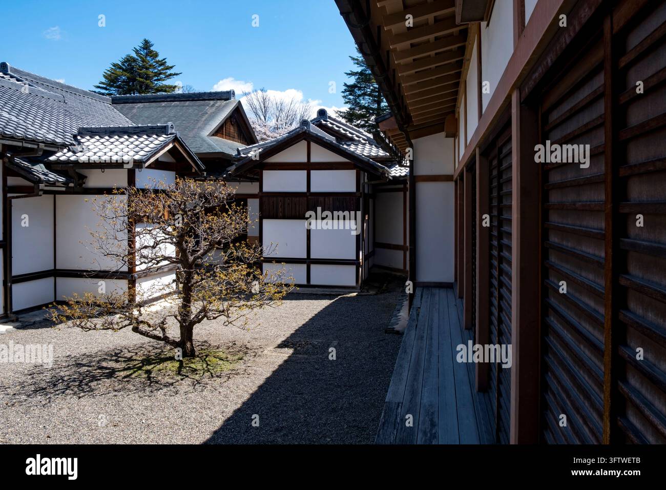 Antica residenza ricostruita di un daimyo al Museo del Castello di Hikone (彦根城博物館) con più cortili e vedute sui giardini, città di Hikone, Shiga, Giappone. Foto Stock