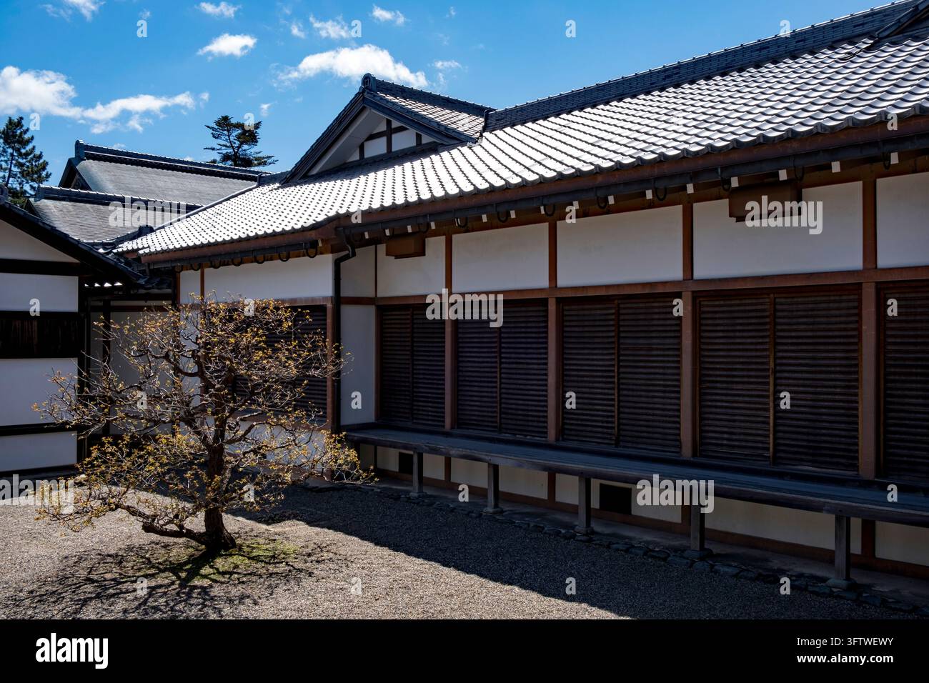 Antica residenza ricostruita di un daimyo al Museo del Castello di Hikone (彦根城博物館) con più cortili e vedute sui giardini, città di Hikone, Shiga, Giappone. Foto Stock