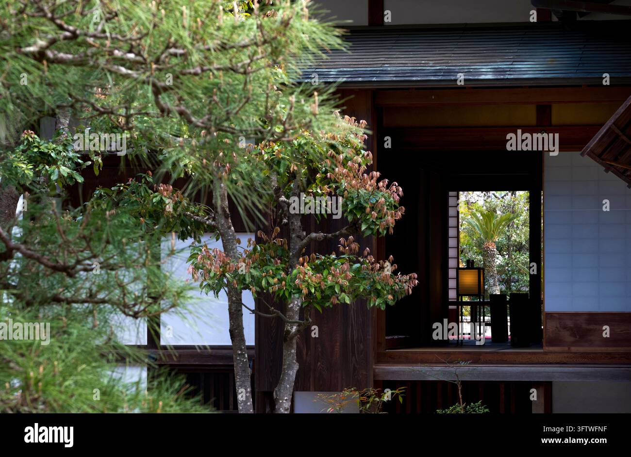 Antica residenza ricostruita di un daimyo al Museo del Castello di Hikone (彦根城博物館) con più cortili e vedute sui giardini, città di Hikone, Shiga, Giappone. Foto Stock