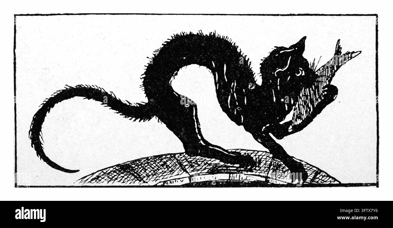 Gatto nero con la schiena inarcata e uccello catturato, su terreno ruvido, sfondo bianco, xilografia del XIX secolo. Foto Stock