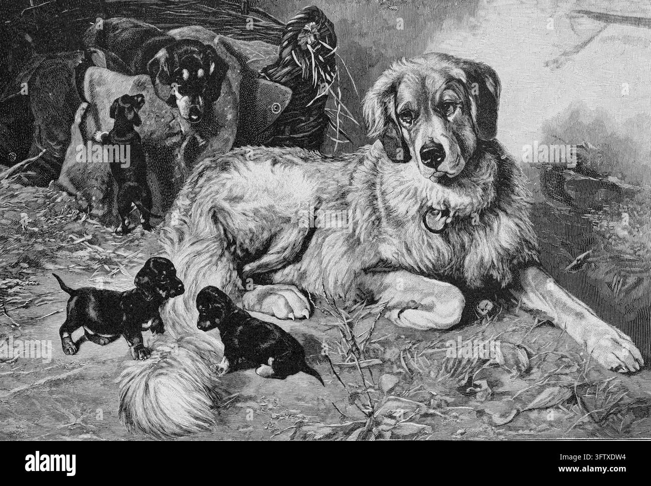 Cane madre e cuccioli che riposano all'aperto in un paesaggio rurale, incisione del XIX secolo. Foto Stock