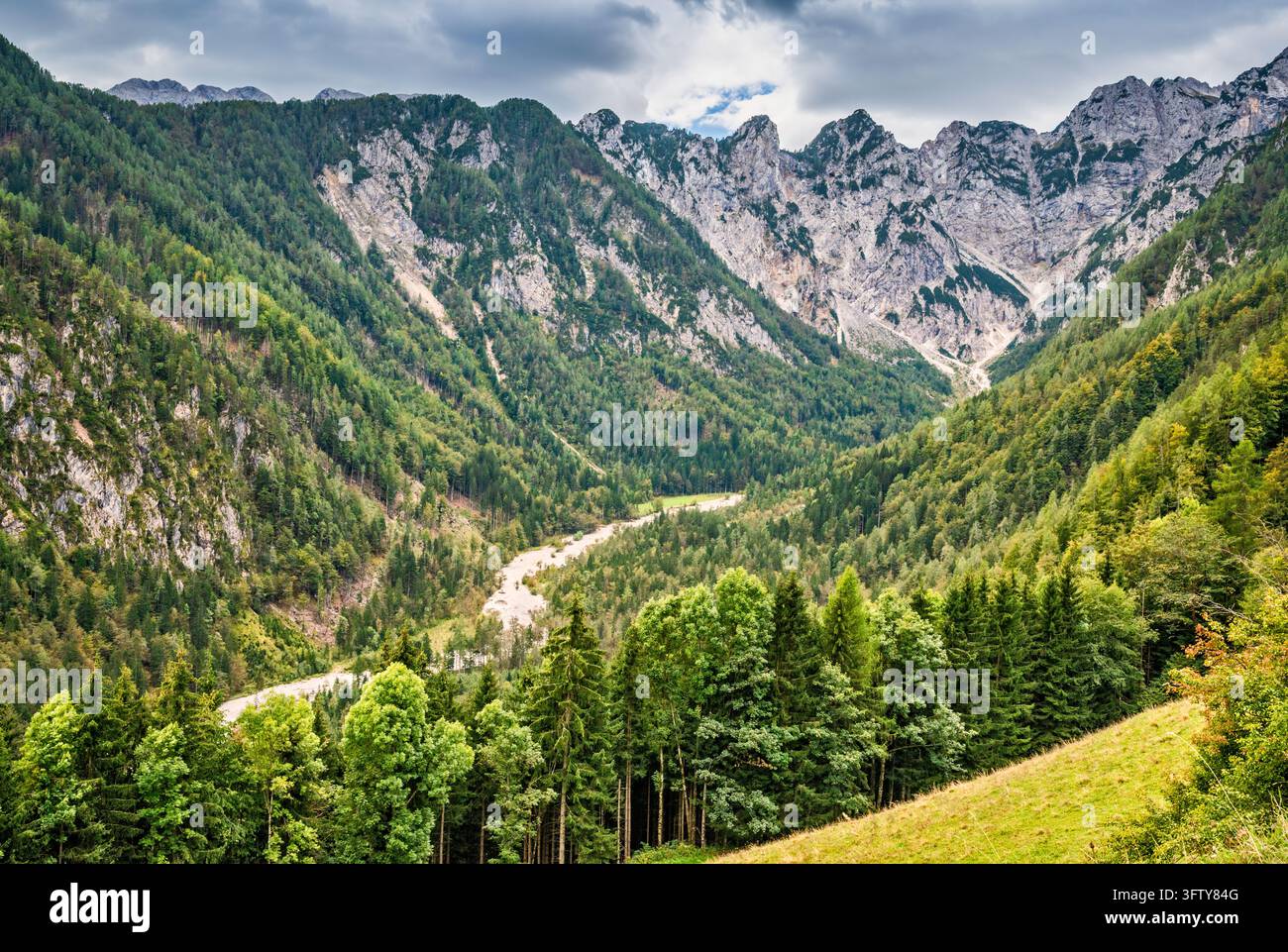 Alpi di Kamnik-Savinja, valle di Matkov Kot, parte della valle di Logar, vicino alla fattoria turistica Matk, strada panoramica di Solčava, Stiria, regione della Carniola superiore, Slovenia Foto Stock