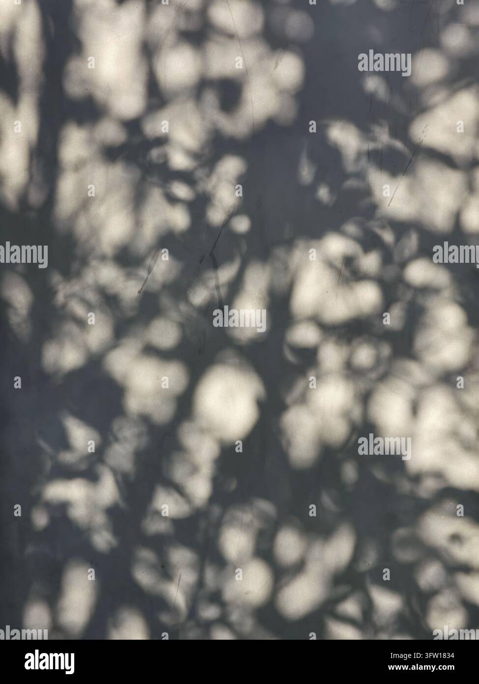 Modello astratto di ombre di foglie di alberi con punti di luce solare intensa su una superficie murale grigia liscia sullo sfondo all'aperto, vista verticale Foto Stock