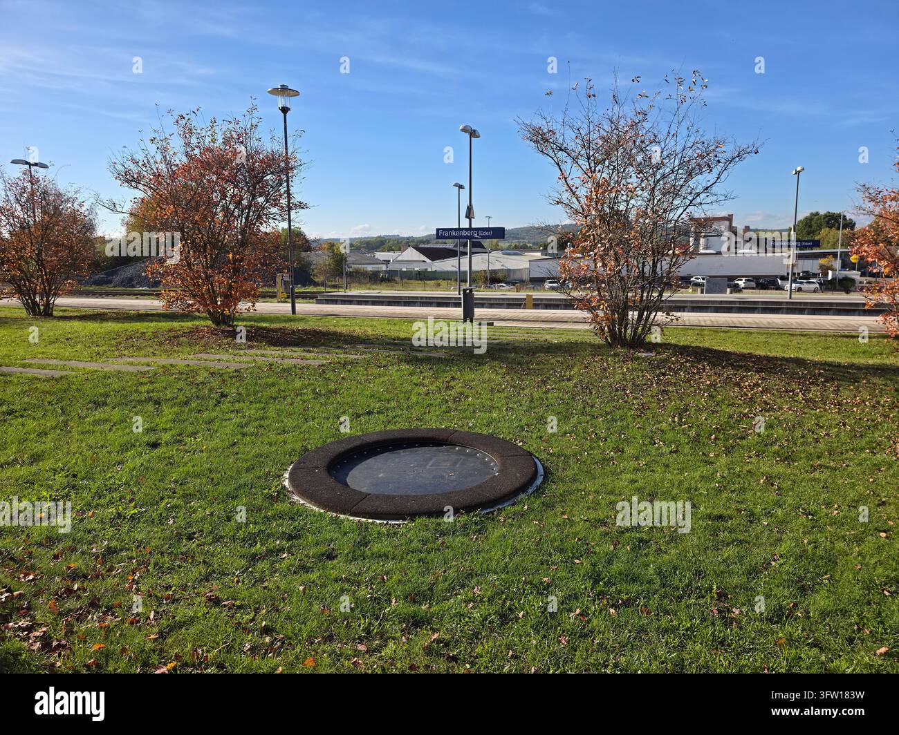 Vibrante chioma di acero autunnale arancione e dorata vista dal basso sotto un cielo blu profondo e sereno in una giornata di sole, vista orizzontale - Immagine stock catturata con smartphone