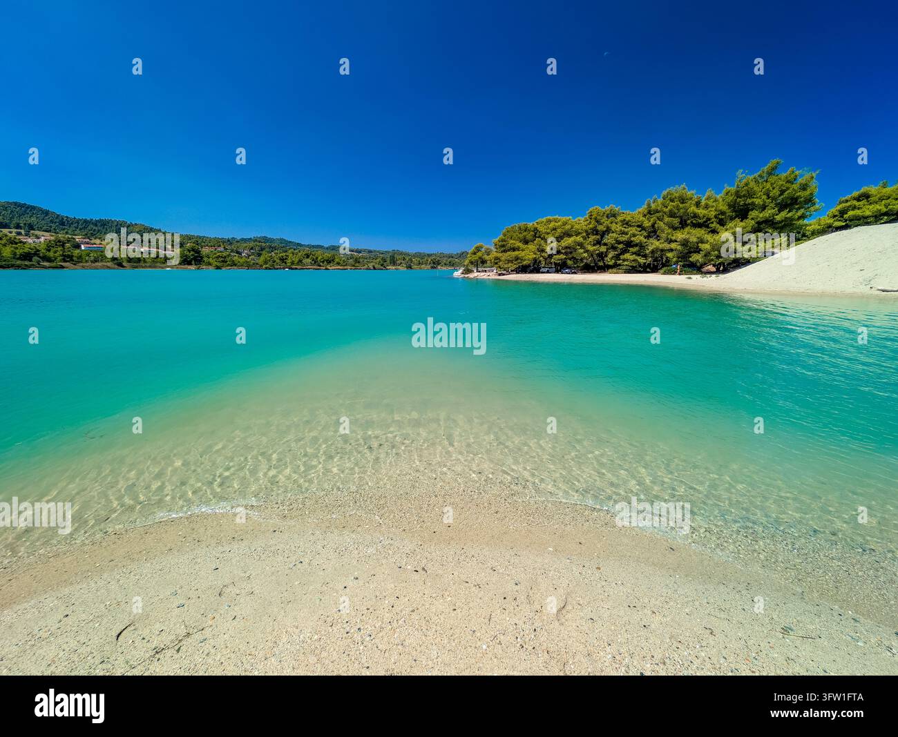 Acqua turchese della laguna e pini a Glarokavos, Calcidica, Grecia Foto Stock