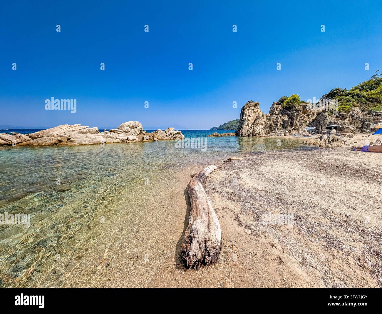 Trunko eroso vicino ad acqua limpida e rocce, spiaggia di Fava, Calcidica, Grecia Foto Stock