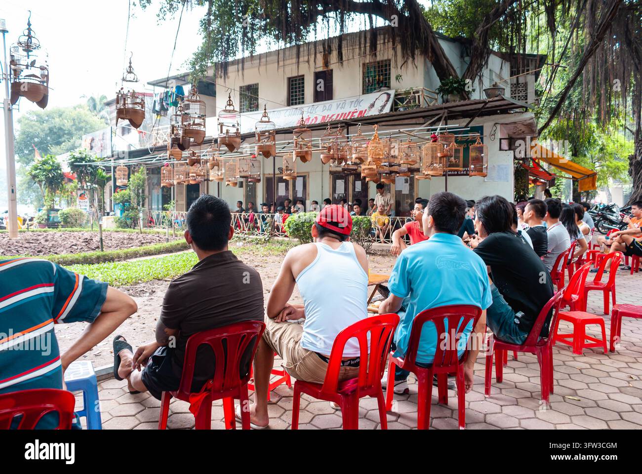 HANOI, VIETNAM - 16 LUGLIO 2011: La gente si raduna fuori da un tradizionale caffè sul marciapiede in via Nguyen Du a Hanoi, Vietnam, mentre delle gabbie per uccelli pendono Foto Stock