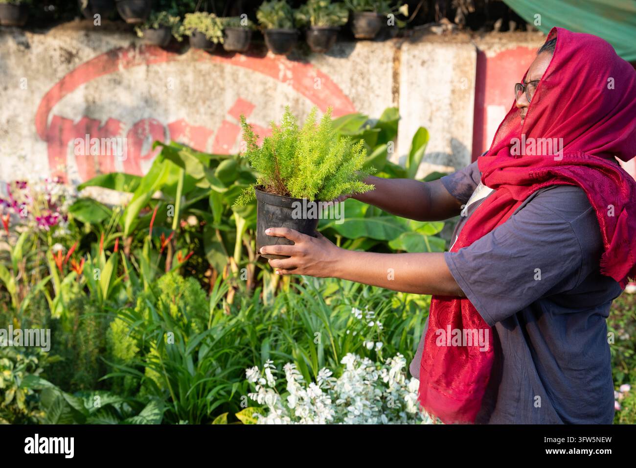 Pallavaram, Chennai, Tamil Nadu, India – 2 ottobre 2026: Una persona con occhiali e un foulard rosso tiene una pianta ornamentale in vaso tra i fiori a Foto Stock