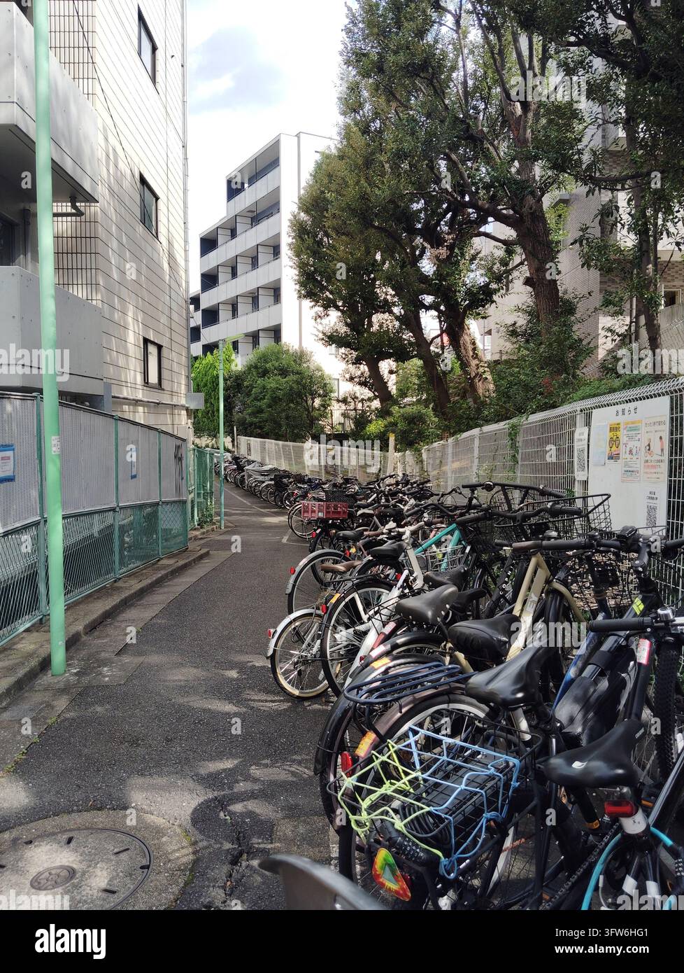 File di biciclette parcheggiate lungo un sentiero stretto fiancheggiato da alberi maturi accanto agli edifici residenziali a Tokyo, Giappone. - Immagine stock catturata con smartphone