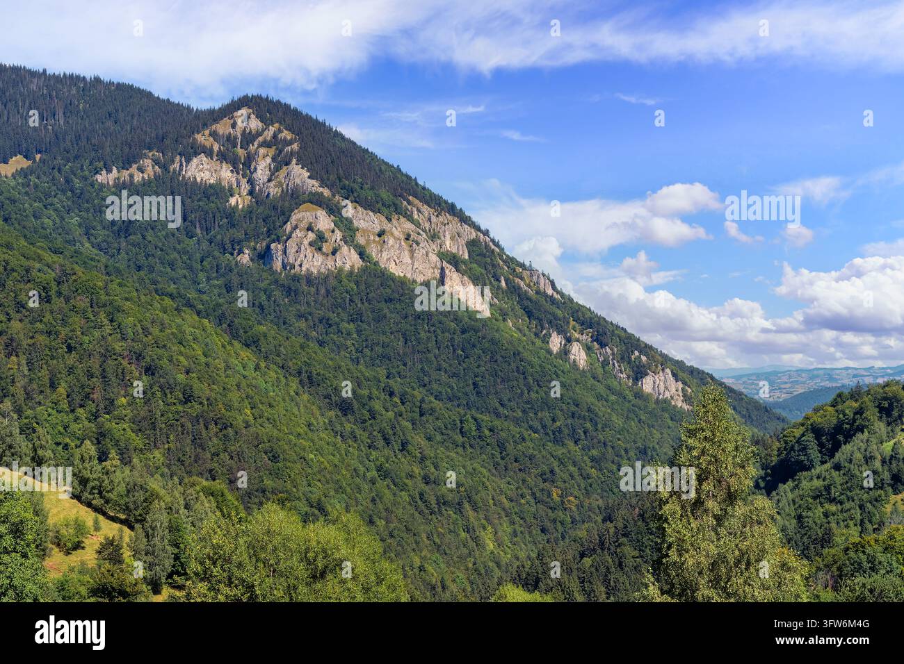 Ripide pendici montuose boscose con scogliere rocciose esposte e una valle lontana vicino a Magura, Romania. Foto Stock