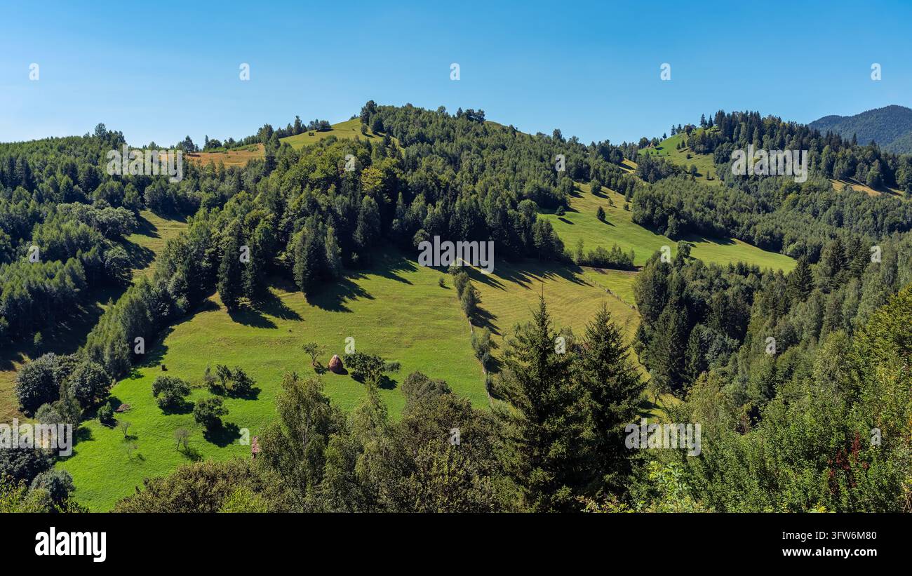 Coline montuose erbose illuminate dal sole con alberi sparsi e foreste fitte nella campagna di Magura in Romania. Foto Stock