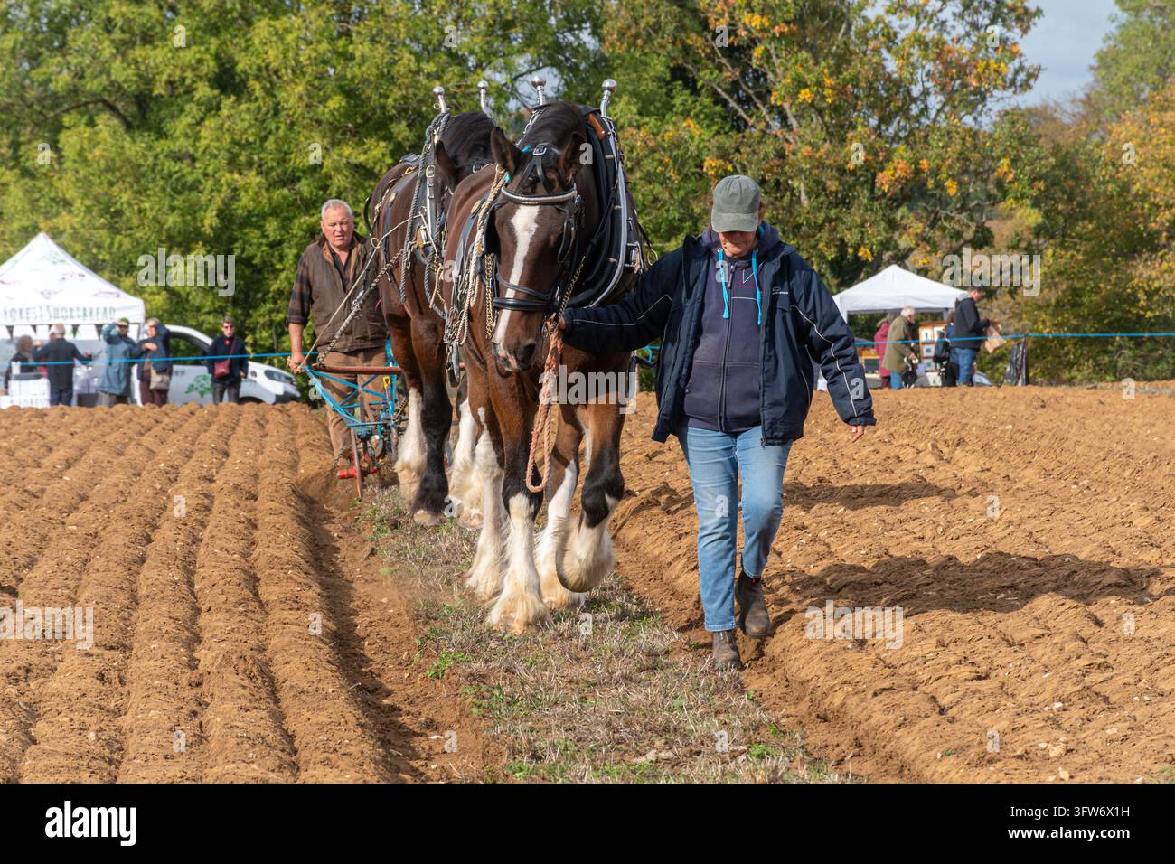 L'incontro annuale di aratura e la fiera di campagna della Southern Counties Heavy Horse Association a Puttenham, Surrey, Inghilterra, Regno Unito, il 18 ottobre 2026 Foto Stock