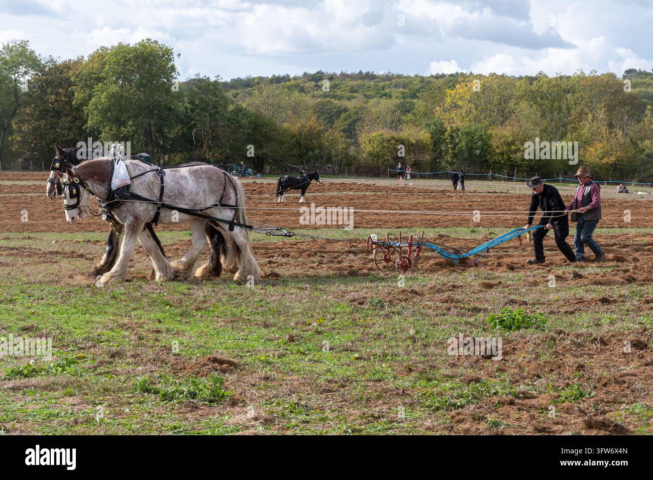 L'incontro annuale di aratura e la fiera di campagna della Southern Counties Heavy Horse Association a Puttenham, Surrey, Inghilterra, Regno Unito, il 18 ottobre 2026 Foto Stock