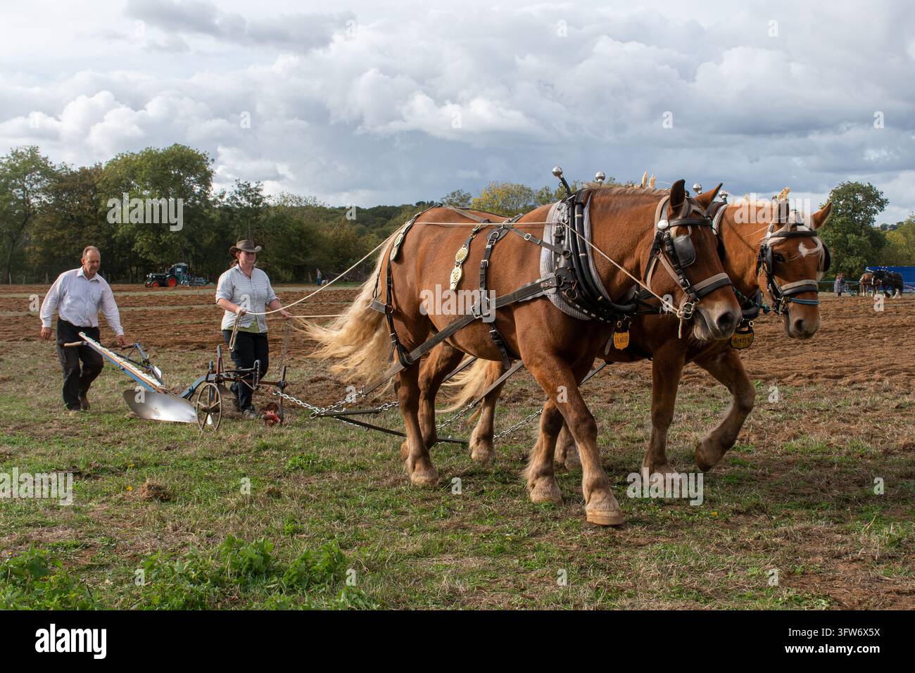 L'incontro annuale di aratura e la fiera di campagna della Southern Counties Heavy Horse Association a Puttenham, Surrey, Inghilterra, Regno Unito, il 18 ottobre 2026 Foto Stock