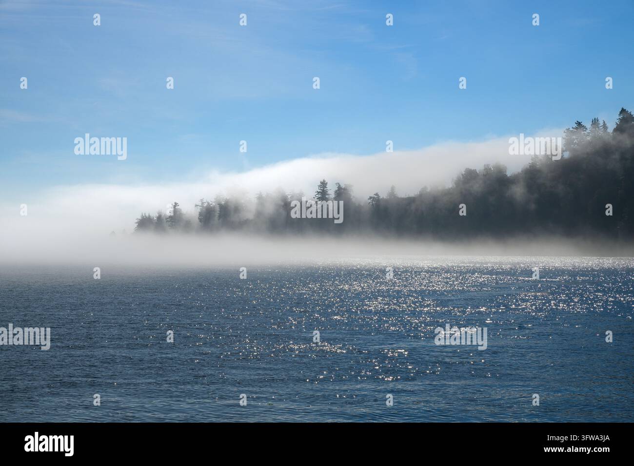 Penisola avvolta nella nebbia con cielo blu che circonda terre ricoperte di abeti e acqua calma Foto Stock