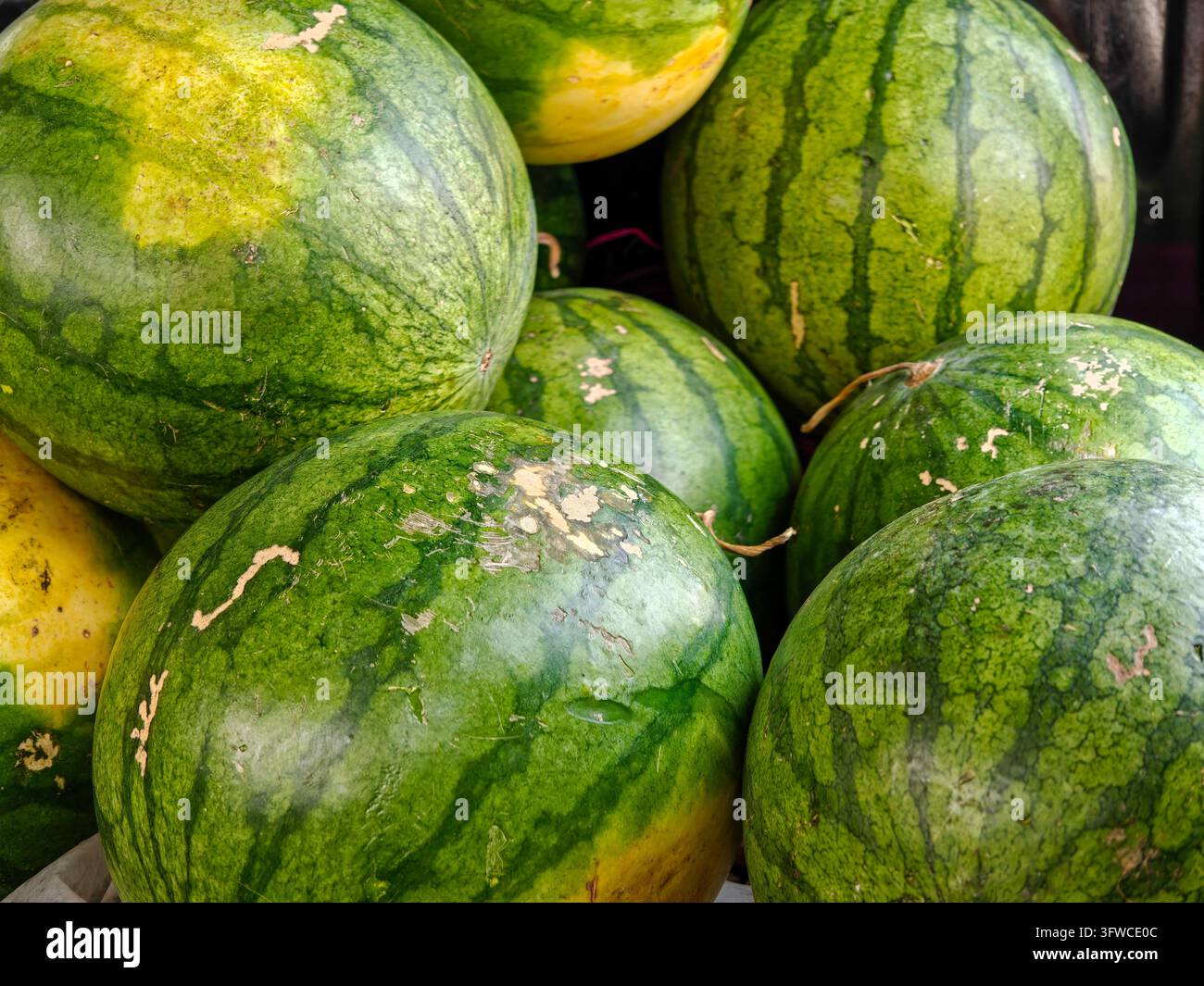 Prima di meloni verdi impilati, che mostrano bucce striate, macchie gialle naturali e texture superficiali variate. Foto Stock