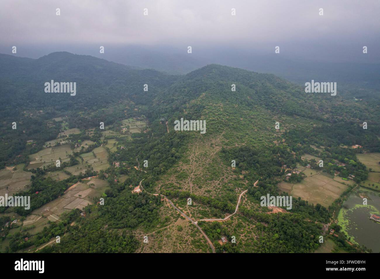 Ghat Occidentali, Natura, Nebbia, Alba, Collina, Varanga, Udupi Foto Stock