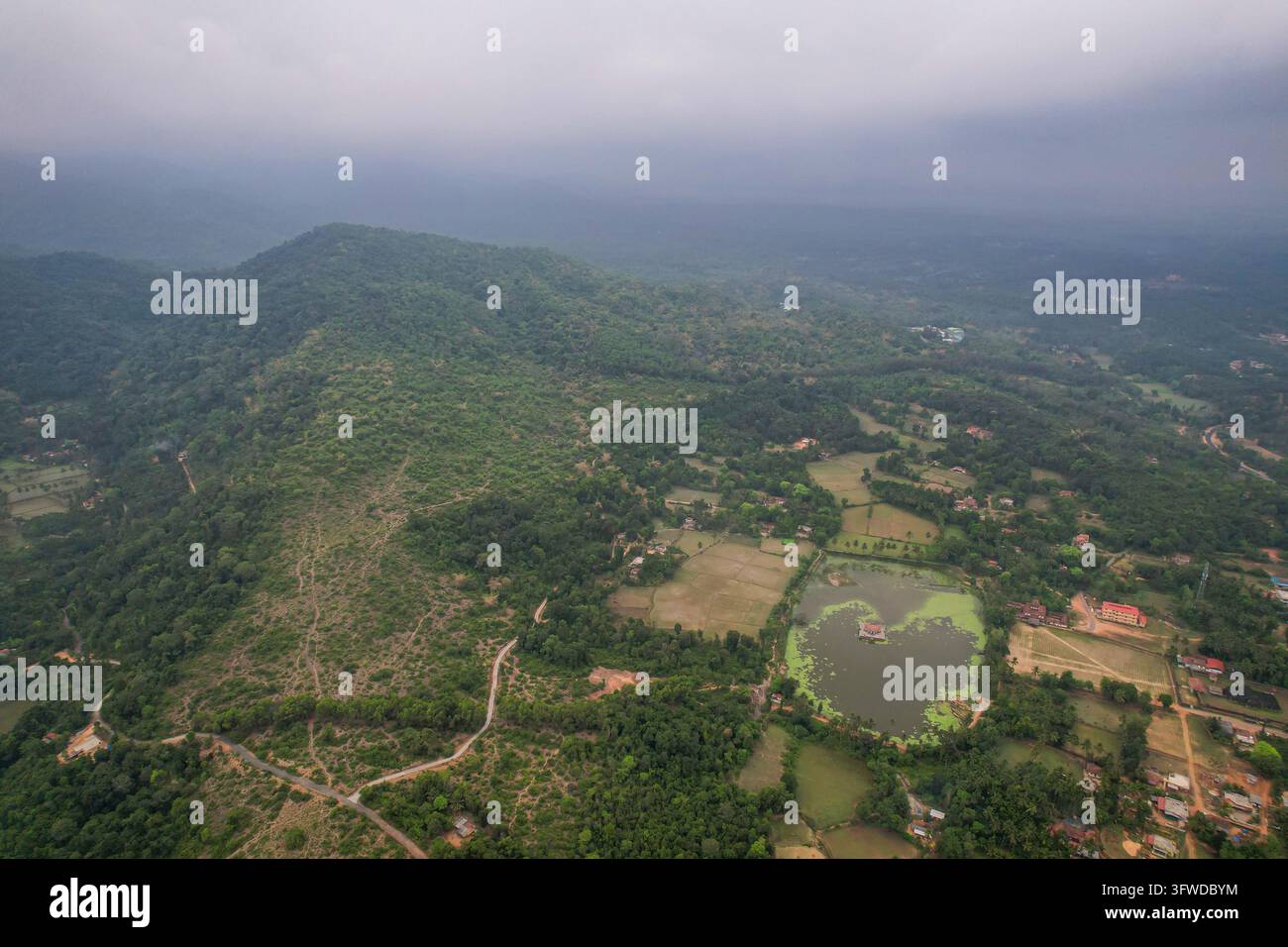 Ghat Occidentali, Natura, Nebbia, Alba, Collina, Varanga, Udupi Foto Stock