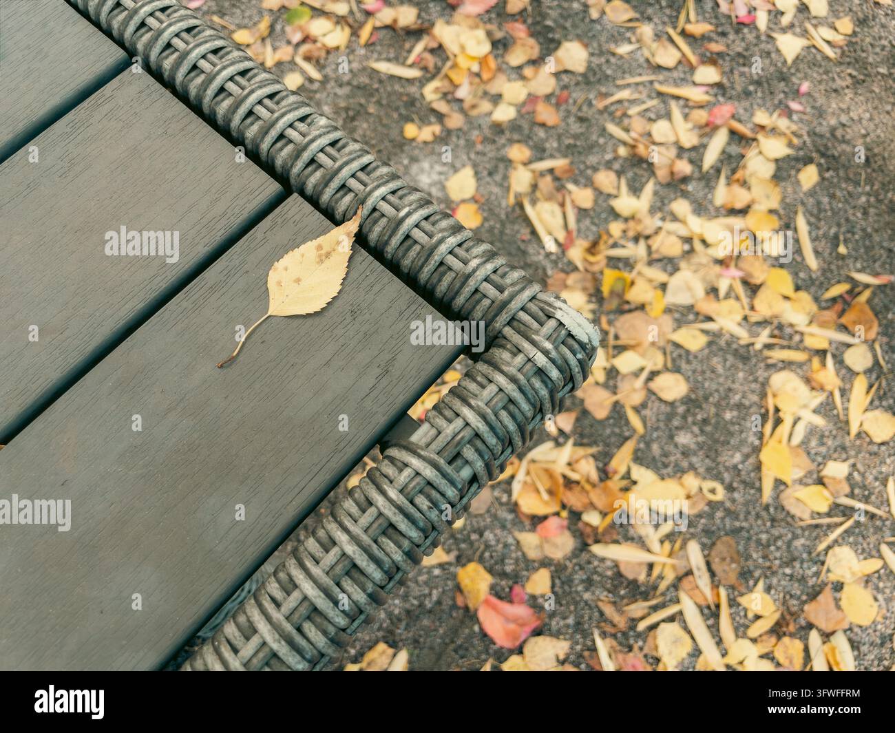 Singola foglia gialla autunnale su tavolo di rattan, vista dall'alto in ambiente da giardino - Immagine stock catturata con smartphone