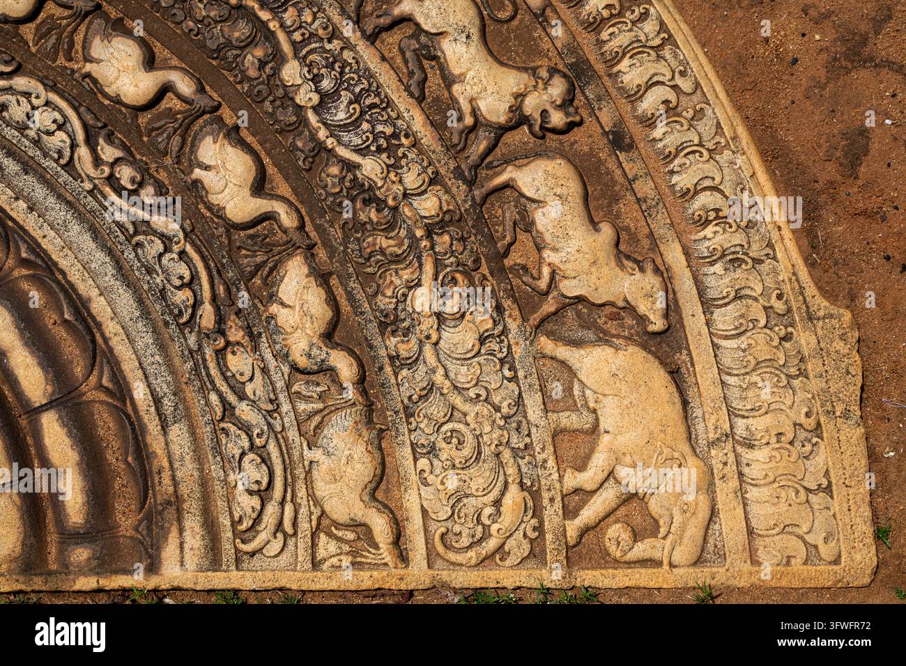 Dettaglio di una pietra di luna antica intagliata con un elefante e altri animali, Provincia Centro Settentrionale, Anuradhapura, Sri Lanka Foto Stock