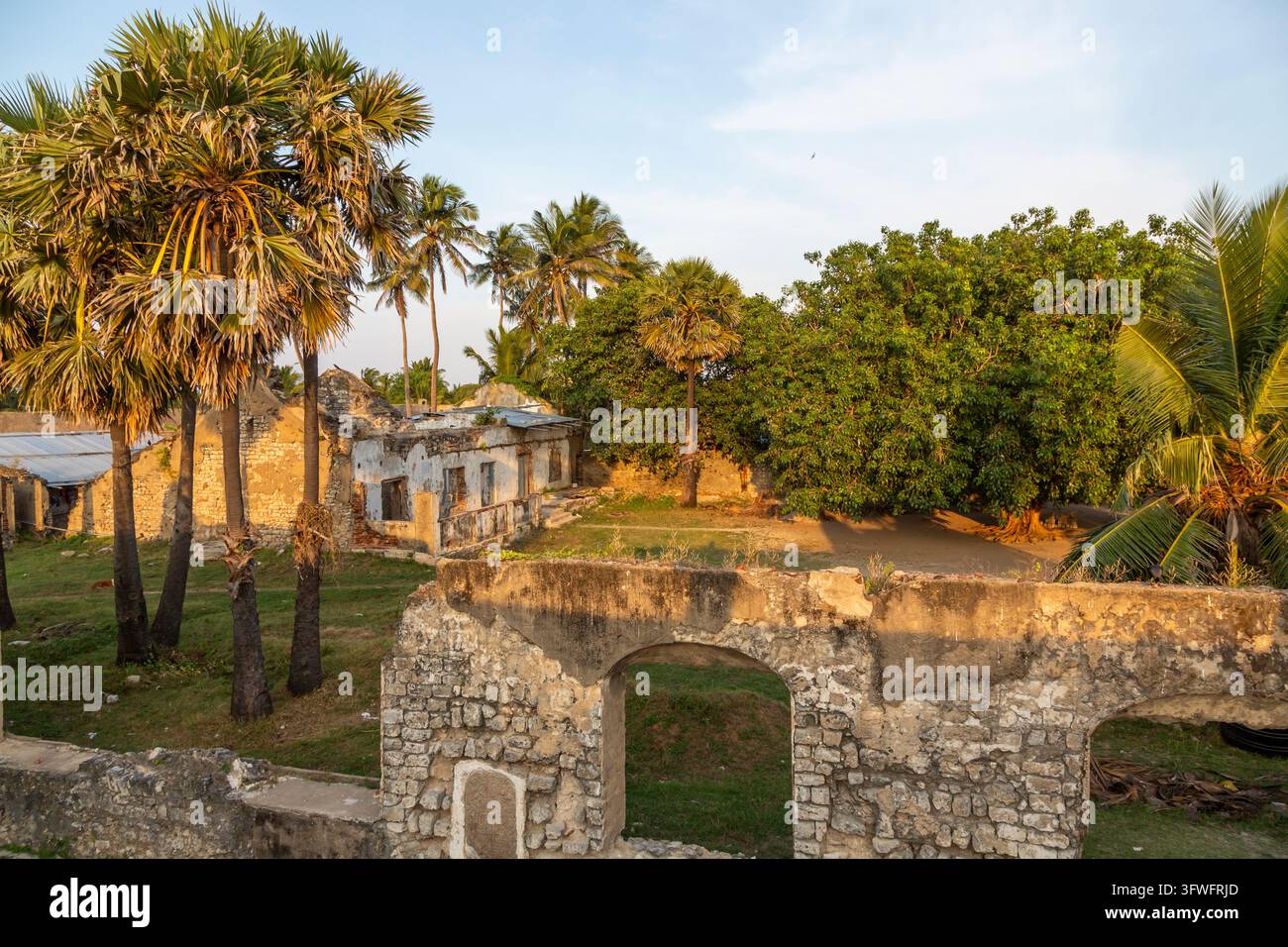 Antichi archi di pietra e edifici in rovina tra le palme, Provincia Settentrionale, Mannar, Sri Lanka Foto Stock