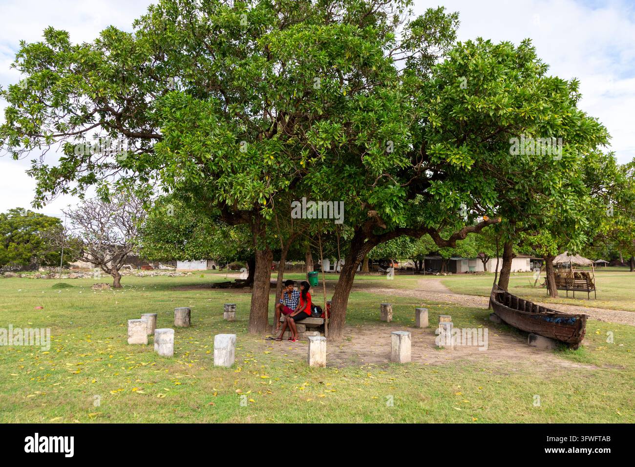 Due giovani seduti sotto grandi alberi nei terreni del vecchio forte, Provincia Settentrionale, Jaffna, Sri Lanka Foto Stock