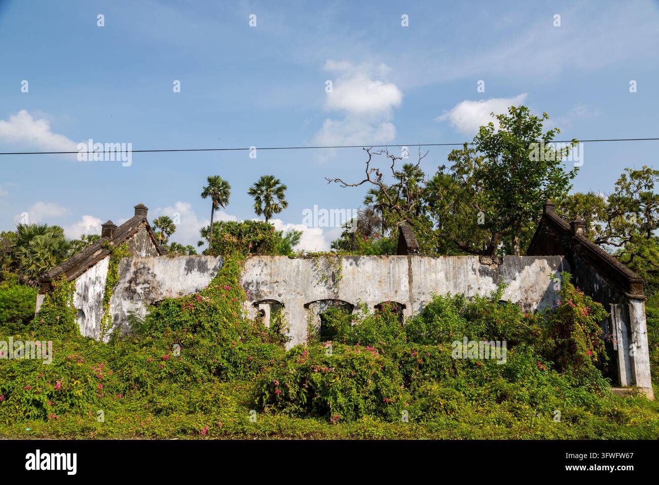 Rovine senza tetto di un edificio coloniale coperto di piante rampicanti, Provincia Settentrionale, Jaffna, Sri Lanka Foto Stock