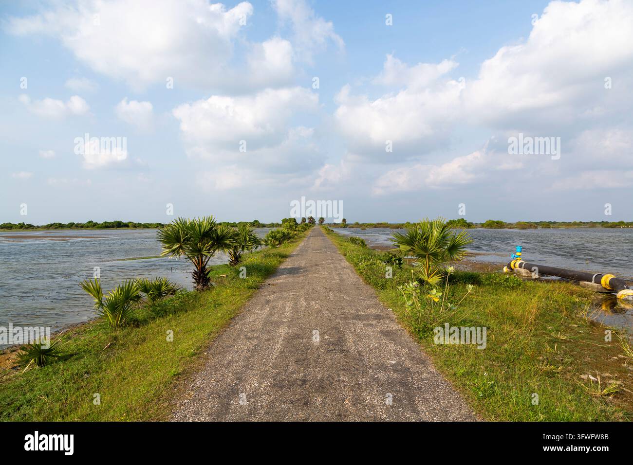 Strada stretta su un argine che attraversa una laguna, Provincia Settentrionale, Jaffna, Sri Lanka Foto Stock
