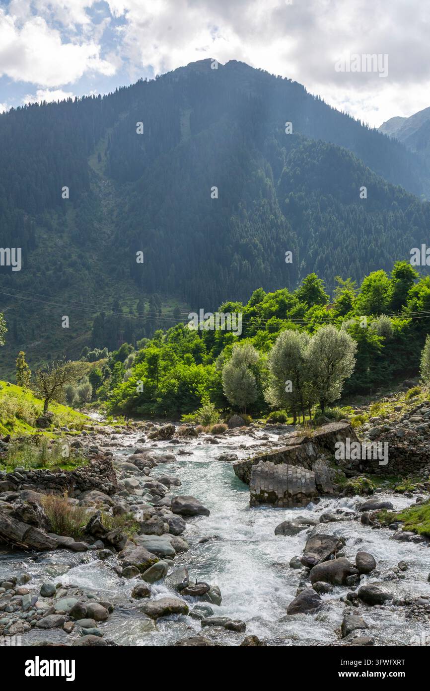 Ruscello delle montagne Rocciose che scorre sotto una montagna boschiva, Jammu e Kashmir, valle di Aru, India Foto Stock