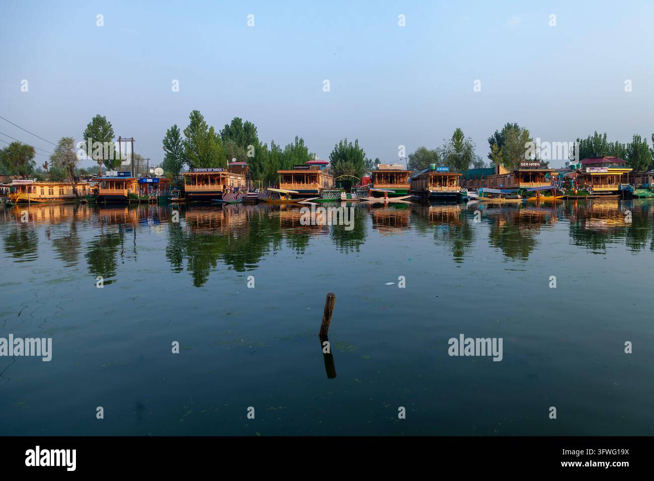 Filiera di chiatte di legno riflesse nelle acque calme del lago Dal, Jammu e Kashmir, Srinagar, India Foto Stock