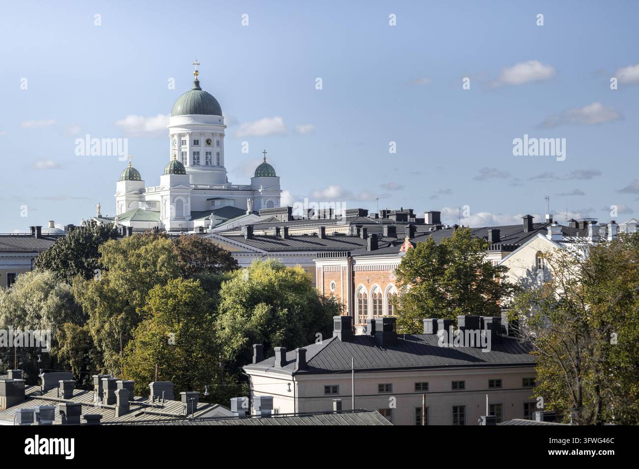 Vista della cattedrale neoclassica di Helsinki con le sue iconiche cupole verdi che si ergono sopra edifici storici e alberi rigogliosi a Helsinki, Uusimaa, Finlandia Foto Stock
