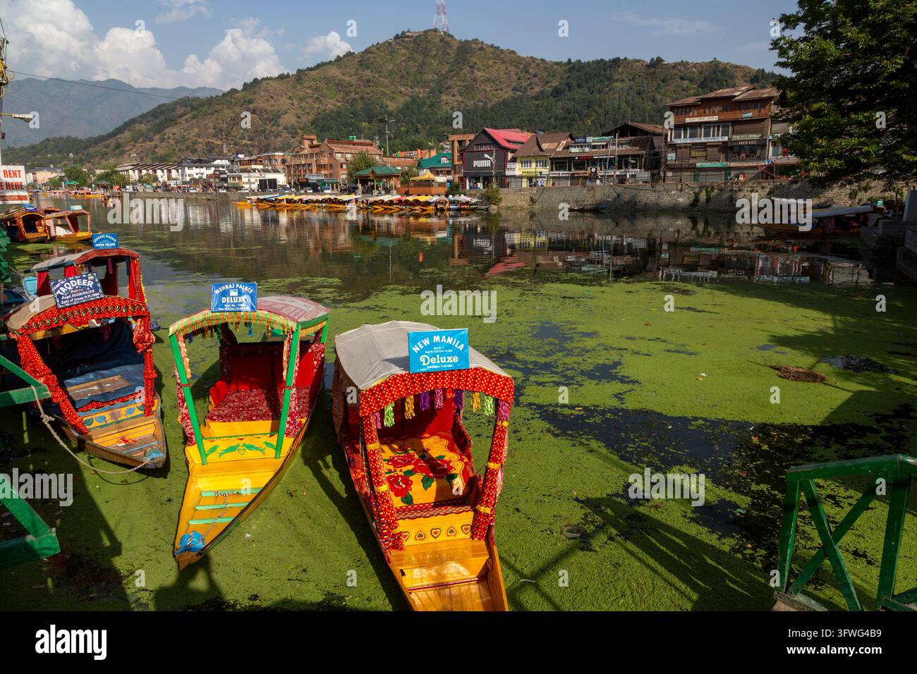 Barche shikara decorate ormeggiate a un ghat sul lago Dal, Jammu e Kashmir, Srinagar, India Foto Stock