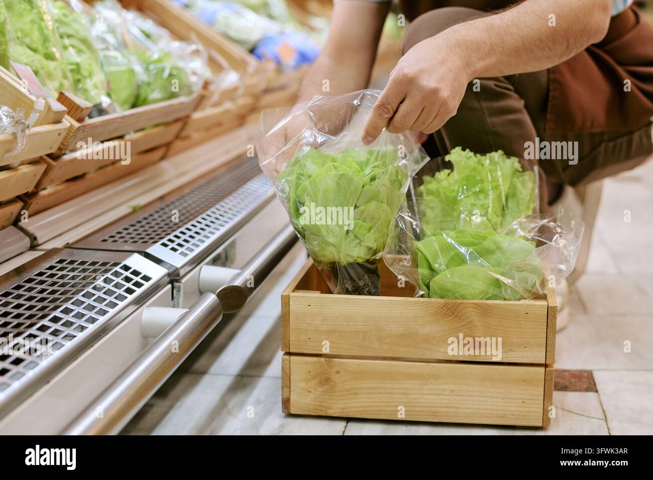 Addetto alla spesa che sistema lattuga biologica fresca sullo scaffale del supermercato Foto Stock