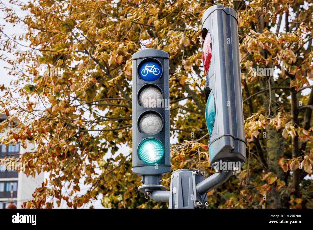 Segnale stradale verde per biciclette davanti al fogliame autunnale su una strada di Copenaghen, Danimarca Foto Stock