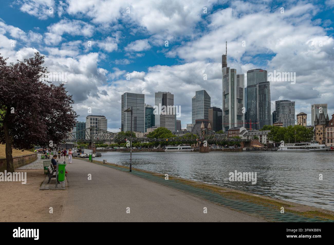 Il fiume Meno e lo skyline di Francoforte, Assia, Germania Foto Stock