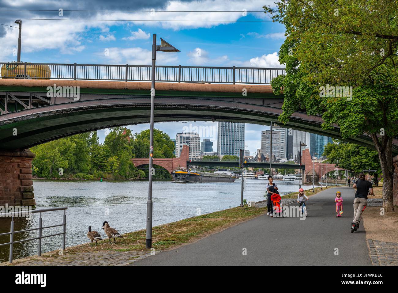 Il fiume Meno e lo skyline di Francoforte, Assia, Germania Foto Stock