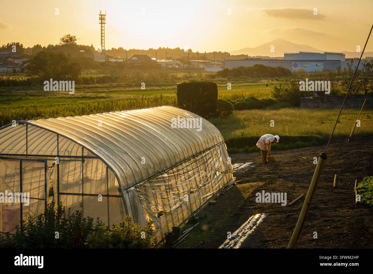 Mentre la giornata lavorativa volge al termine Foto Stock