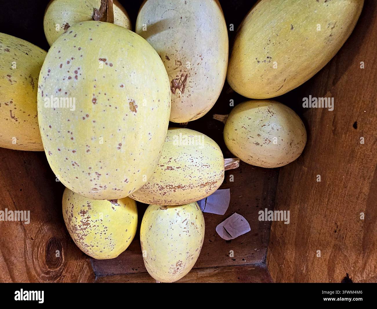 Una vista ravvicinata dall'alto mostra intere zucche invernali con bucce giallo pallido leggermente screziate accostate l'una all'altra in una cassetta di legno. Foto Stock