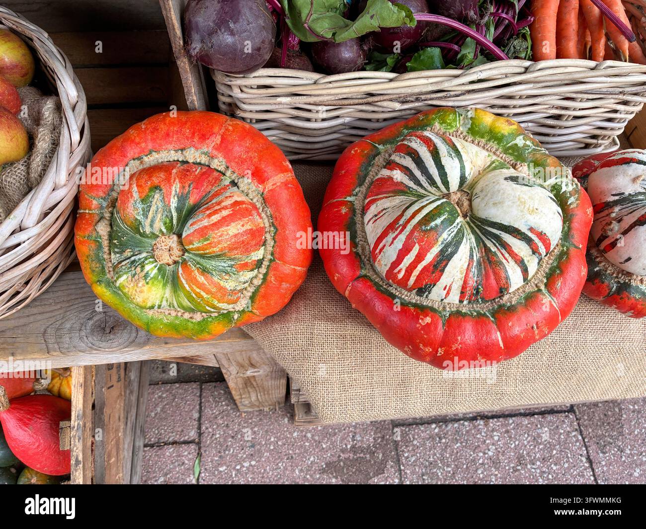 Zucca colorate Foto Stock