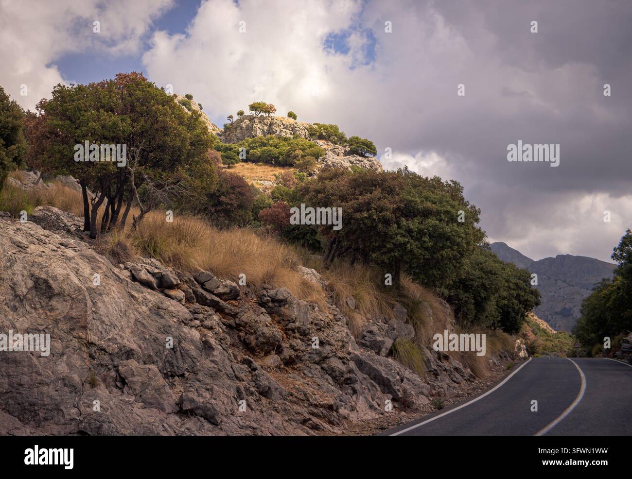 Una vista di una strada di montagna asfaltata e tortuosa con una linea continua bianca a destra e una linea continua gialla a sinistra. La strada si snoda nel Foto Stock