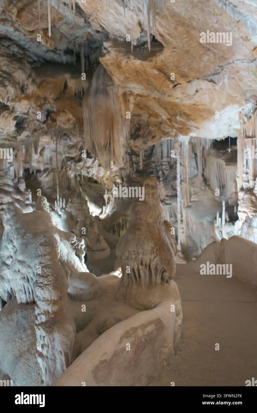 Una vista ampia all'interno di una grotta di calcare naturale a Maiorca, Spagna, che mostra intricate formazioni geologiche. La scena presenta numerose stalattiti Foto Stock