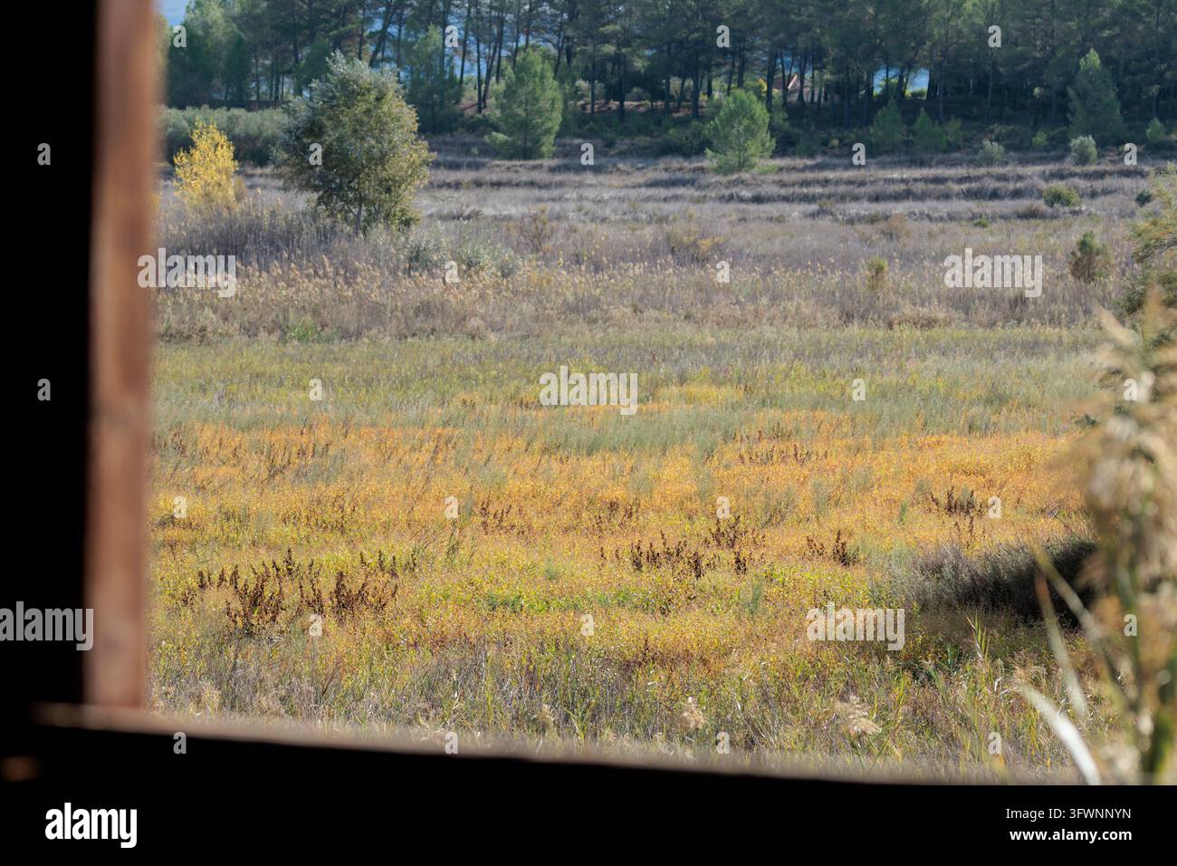 Vista del letto asciutto della laguna di Gaianes con vegetazione dalla finestra dell'osservatorio ornitologico nell'ottobre 2022, Spagna Foto Stock