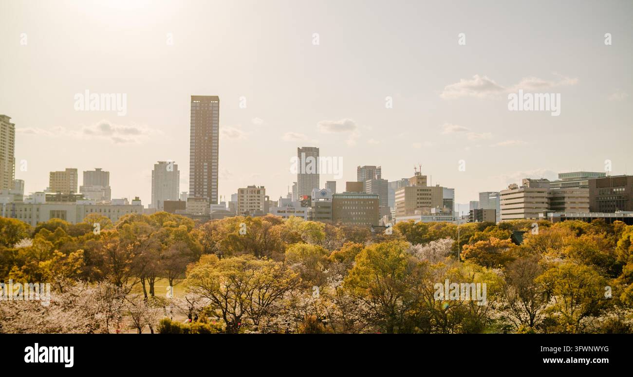 Osaka, Giappone – 05 aprile 2025: Vista del parco del castello di Osaka con alberi rigogliosi e fiori di ciliegio in primo piano davanti allo skyline moderno della città di Osaka Foto Stock