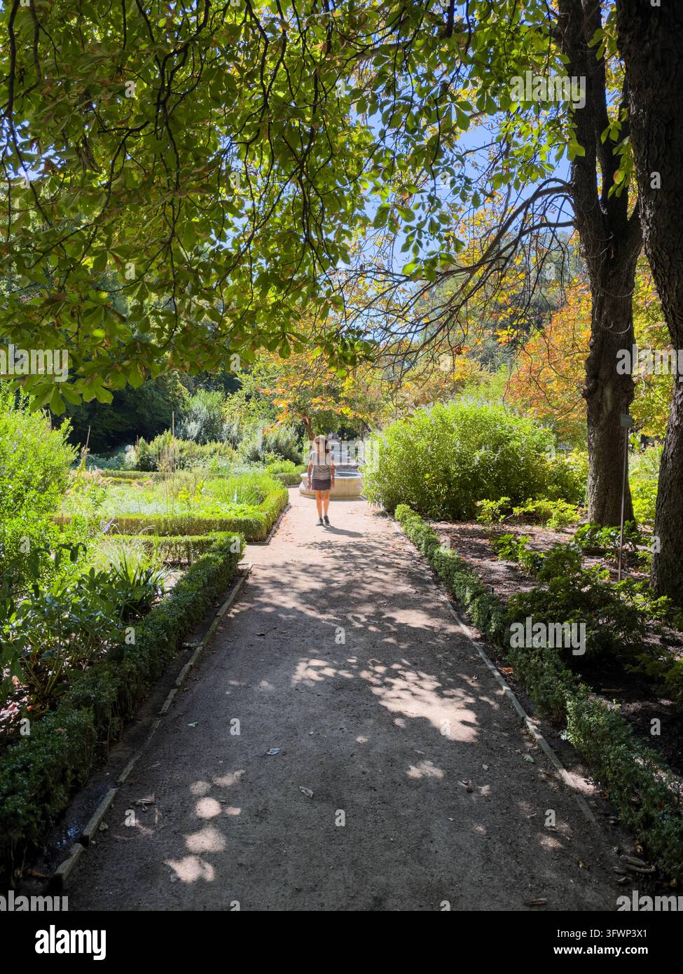 Real Jardín Botánico di Madrid, Paseo del Prado, Madrid, Spagna Foto Stock