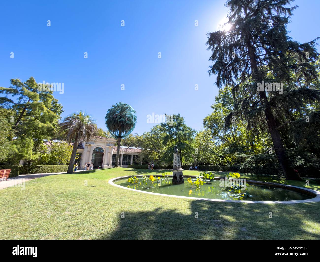 Real Jardín Botánico di Madrid, Paseo del Prado, Madrid, Spagna Foto Stock