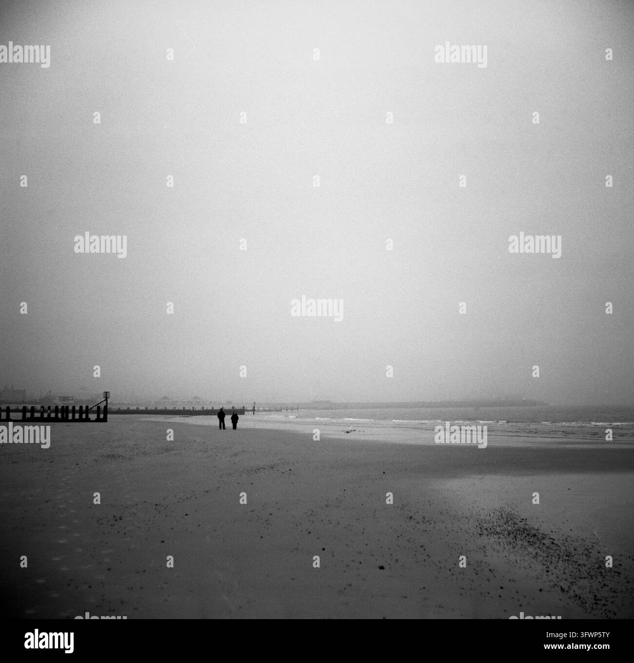 Persone che camminano sulla spiaggia con impronte di cani, Lowestoft, Engl. Fotografia analogica, 2026. Foto Stock